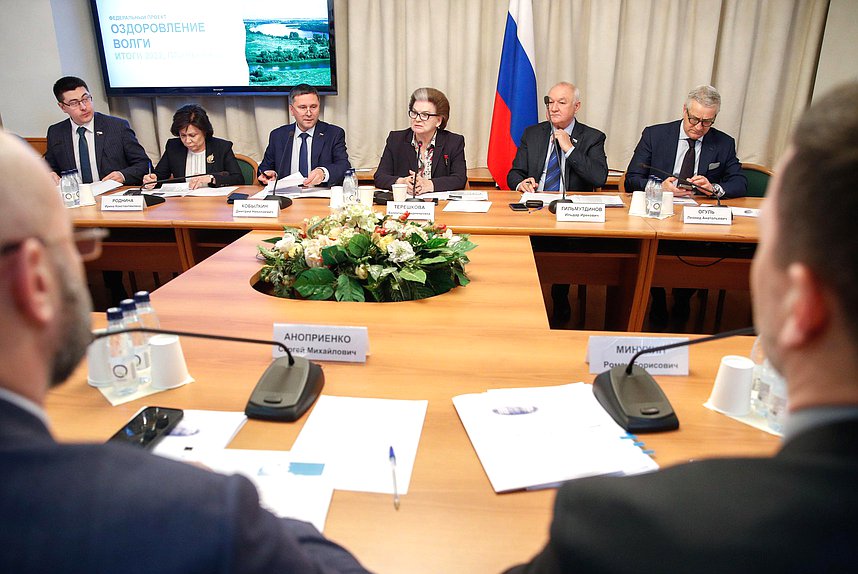 Заседание межфракционной рабочей группы Комитета по экологии, природным ресурсам и охране окружающей среды по сохранению и развитию реки Волги