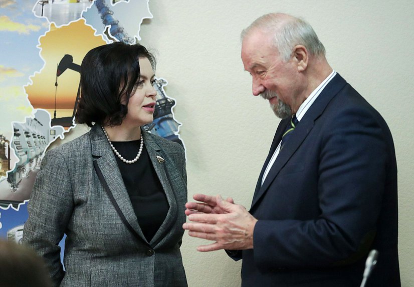 Член Комитета по промышленности и торговле Мария Василькова