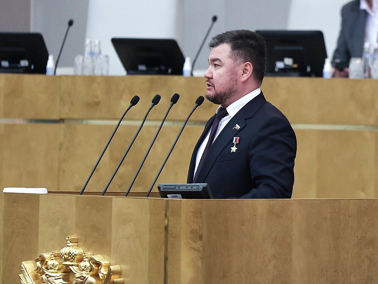 Первый заместитель Председателя Комитета по труду, социальной политике и делам ветеранов Владимир Сайбель