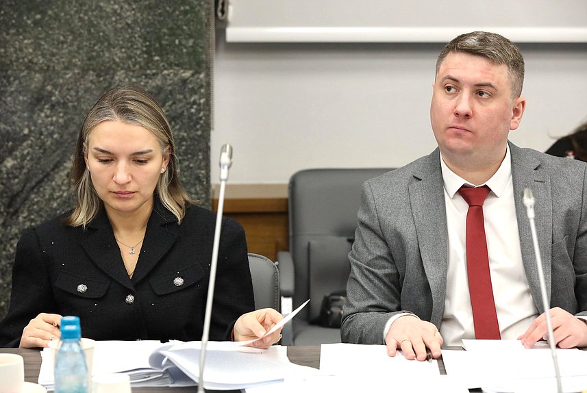 Заседание Комитета по защите семьи, вопросам отцовства, материнства и детства