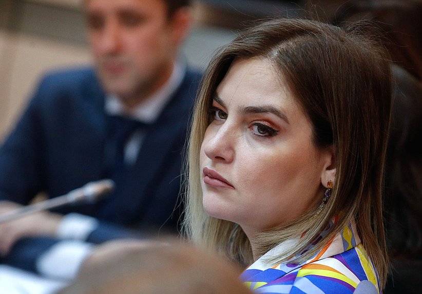 Круглый стол «Социальная поддержка и интеграция молодежи новых территорий РФ в экосистему молодежной политики»