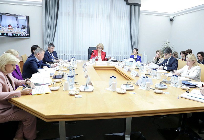 Заседание Комитета по вопросам семьи, женщин и детей