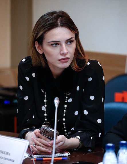 Круглый стол «Социальная поддержка и интеграция молодежи новых территорий РФ в экосистему молодежной политики»