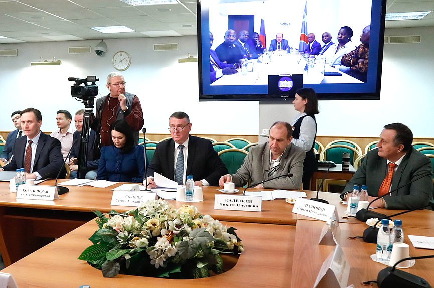 Встреча депутатской группы Государственной Думы по связям с парламентами Республики Конго, Демократической Республики Конго, с группой дружбы «ДРК — Россия» Национального собрания Демократической Республики Конго