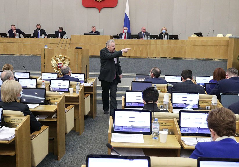 Руководитель фракции ЛДПР Владимир Жириновский