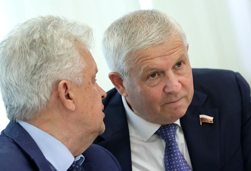 Член Комитета по экономической политике Виктор Кидяев