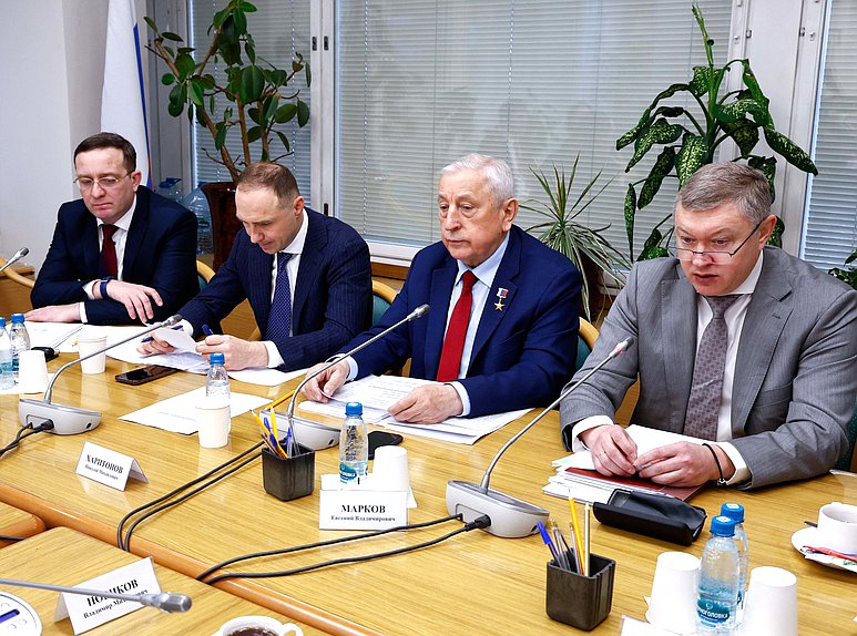 Заседание Комитета по развитию Дальнего Востока и Арктики