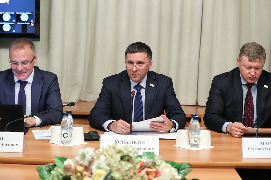 Председатель Комитета по экологии, природным ресурсам и охране окружающей среды Дмитрий Кобылкин и заместители Председателя Комитета Александр Коган и Евгений Марков