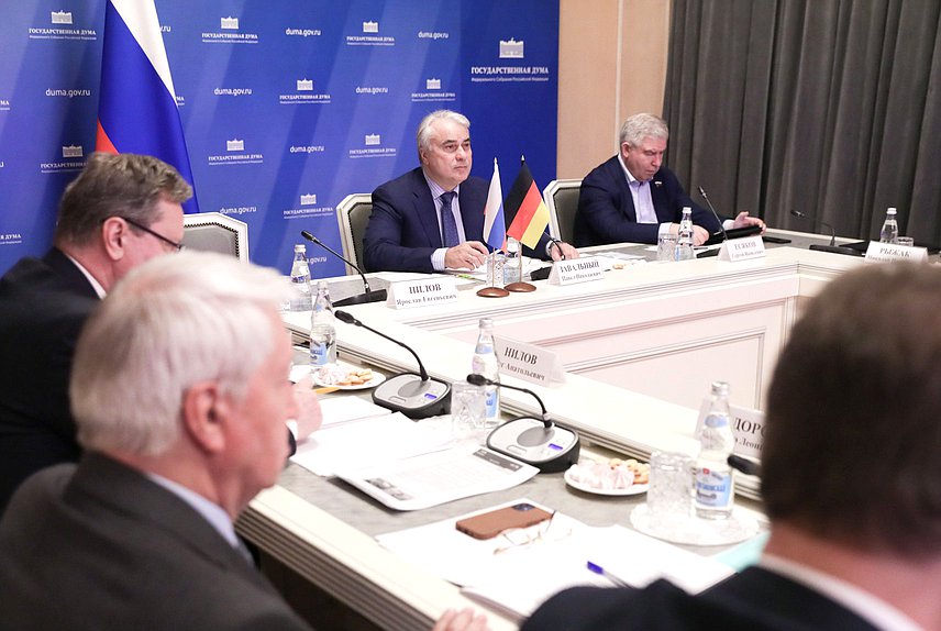Встреча депутатов Государственной Думы с депутатами Бундестага Федеративной Республики Германия — членами Германо-российской парламентской группы в режиме видеоконференции
