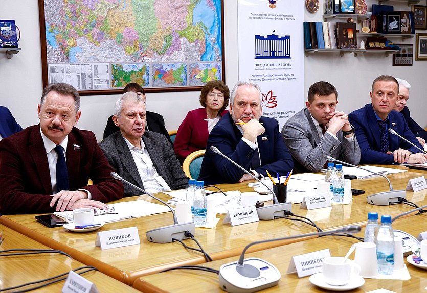 Заседание Комитета по развитию Дальнего Востока и Арктики