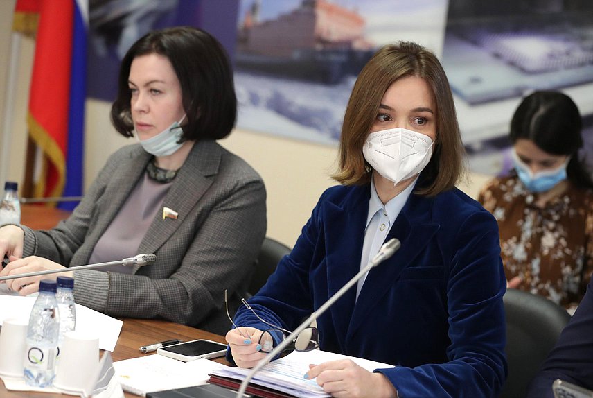 Первый заместитель Председателя Комитета по малому и среднему предпринимательству Альфия Когогина