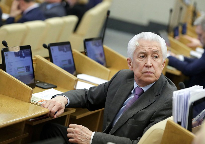 Руководитель фракции «Единая Россия» Владимир Васильев