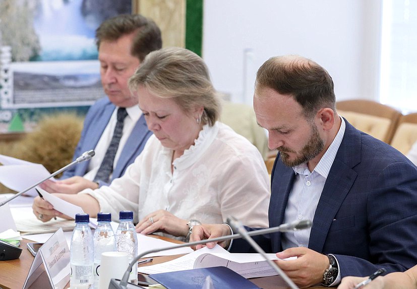 Заседание рабочей группы по развитию речного, круизного и яхтенного туризма Комитета по туризму и развитию туристической инфраструктуры