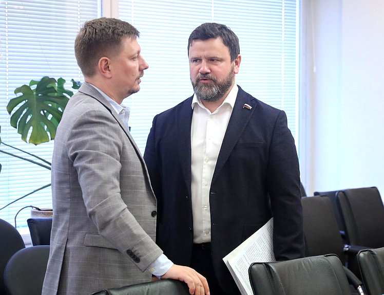 Заместитель Председателя Комитета по энергетике Владимир Плякин и член Комитета Роман Птицын