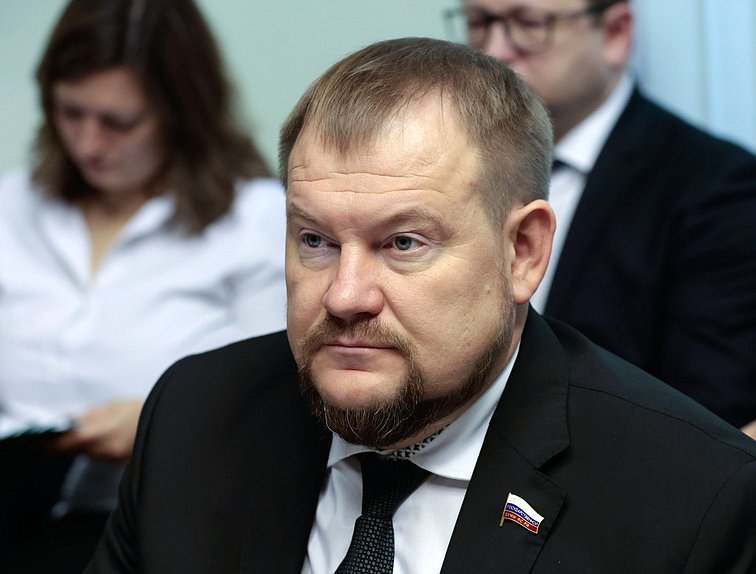Член Комитета по безопасности и противодействию коррупции Денис Колесников