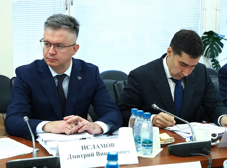 Статс-секретарь — заместитель Министра энергетики РФ Дмитрий Исламов и заместитель Министра энергетики РФ Евгений Грабчак