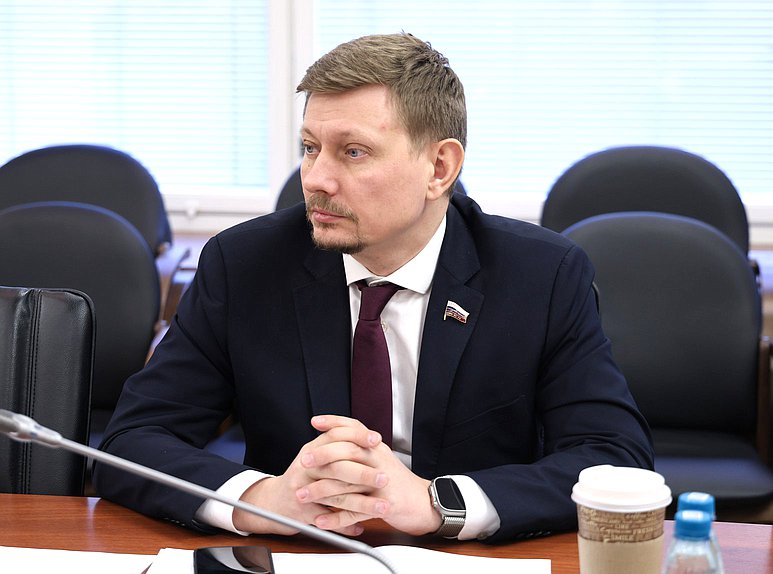 Заместитель Председателя Комитета по энергетике Владимир Плякин