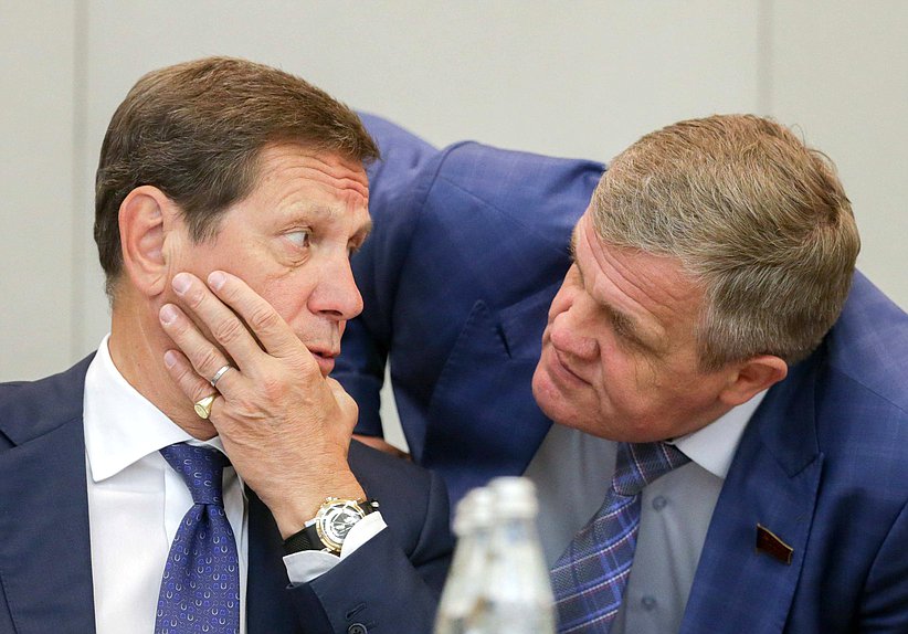 Первый заместитель Председателя Государственной Думы Александр Жуков и Первый заместитель Председателя Комитета по труду, социальной политике и делам ветеранов Николай Коломейцев