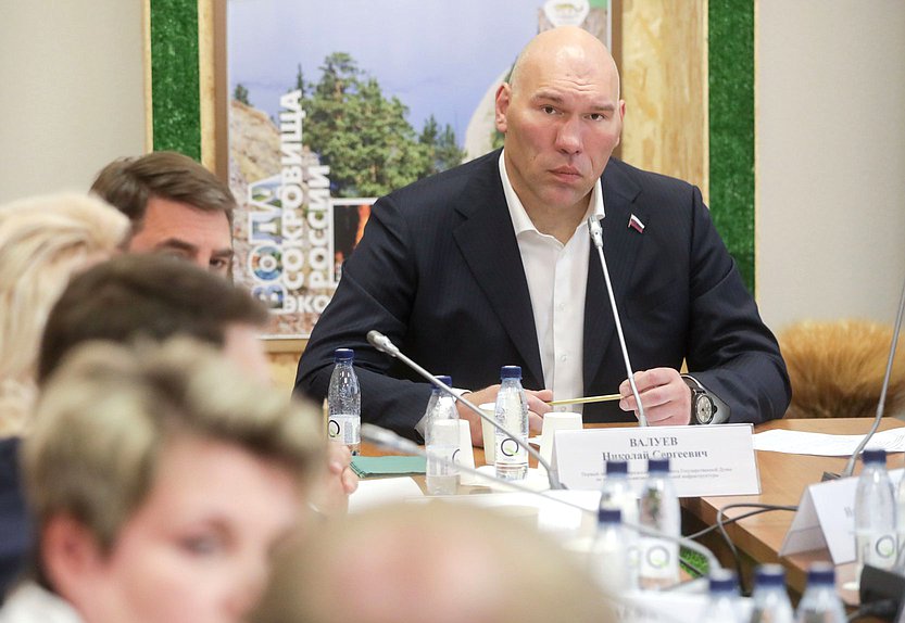 Первый заместитель Председателя Комитета по туризму и развитию туристической инфраструктуры Николай Валуев