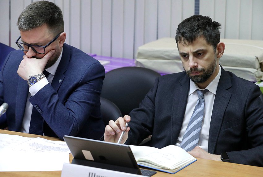 Заседание рабочей группы Комитета по транспорту и развитию транспортной инфраструктуры на тему «Разграничение ответственности за строительство и содержание пешеходных переходов (мостов, тоннелей), которые не имеют выхода на пассажирские платформы»