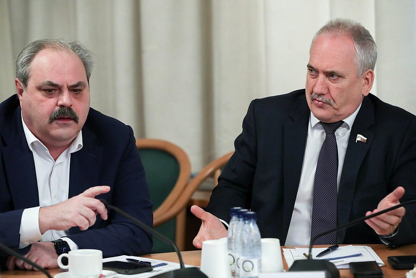 Члены Комитета по развитию Дальнего Востока и Арктики Алексей Веллер и Павел Симигин