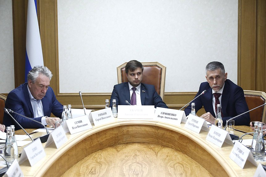 Первый заместитель Председателя Комитета по информационной политике, информационным технологиям и связи Антон Ткачё