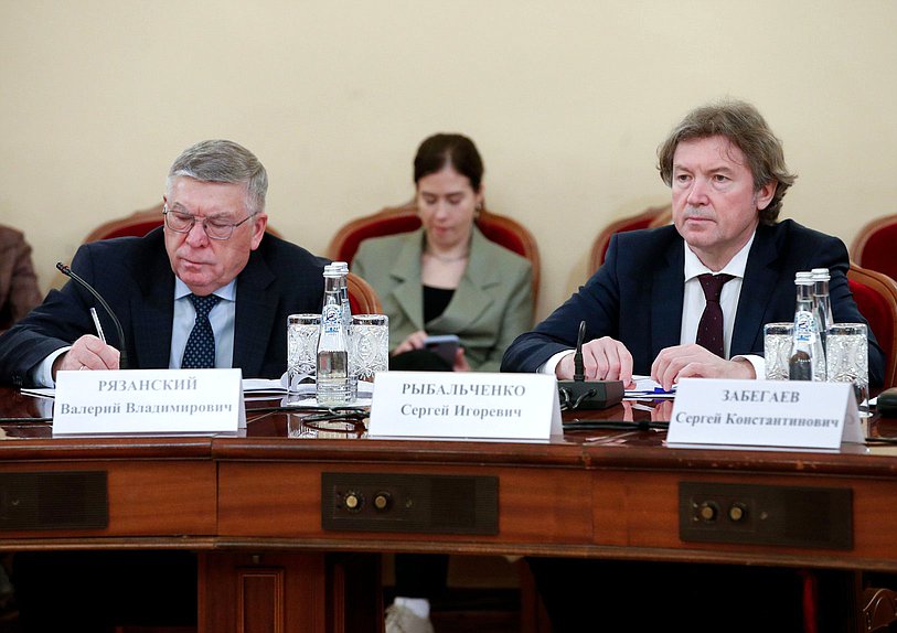 Заседание экспертного совета по вопросам совершенствования законодательства в социальной сфере при заместителе Председателя Государственной Думы Анне Кузнецовой