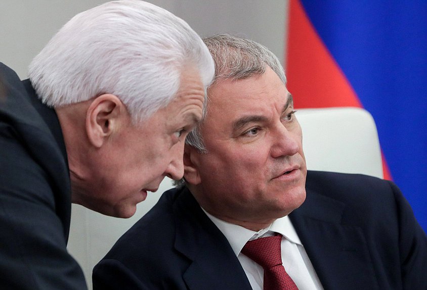 Председатель Государственной Думы Вячеслав Володин и руководитель фракции «Единая Россия» Владимир Васильев