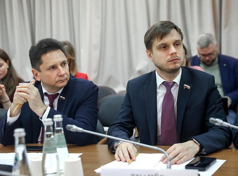 Член Комитета по информационной политике, информационным технологиям и связи Вячеслав Петров и Первый заместитель Председателя Комитета Антон Ткачев