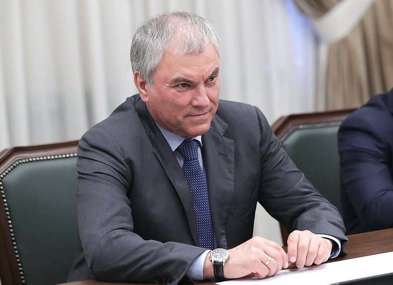 Председатель Государственной Думы Вячеслав Володин