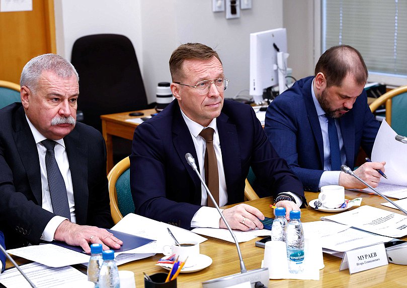 Заседание Комитета по развитию Дальнего Востока и Арктики