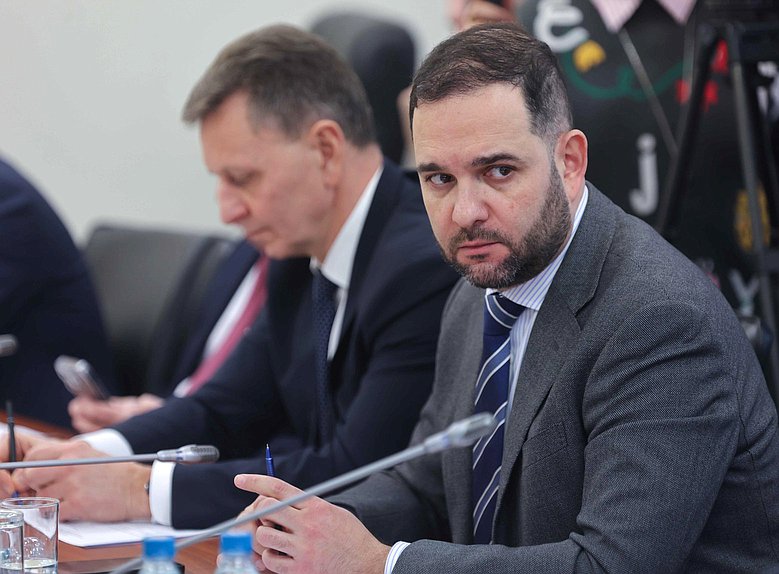 Первый заместитель Председателя Комитета по науке и высшему образованию Александр Мажуга