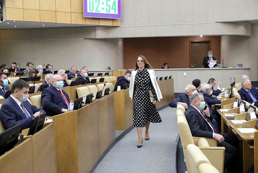 Первый заместитель Председателя Комитета по малому и среднему предпринимательству Альфия Когогина