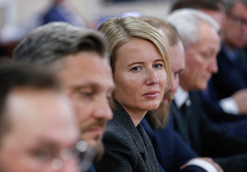 Заседание экспертного совета Комитета по промышленности и торговле по развитию промышленной инфраструктуры (индустриальные парки, технопарки, экотехнопарки и кластеры)