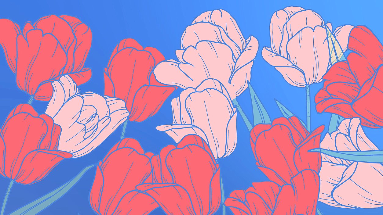 тюльпаны 8 марта восьмое