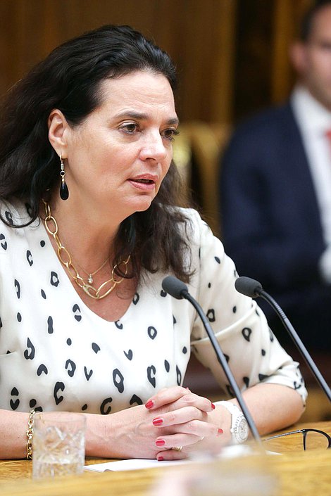 Встеча Председателя Государственной Думы 
Федерального Собрания Российской Федерации C.Е.Нарышкина 
с Председателем Сената Парламента Королевства Бельгия К.Дефрень.

