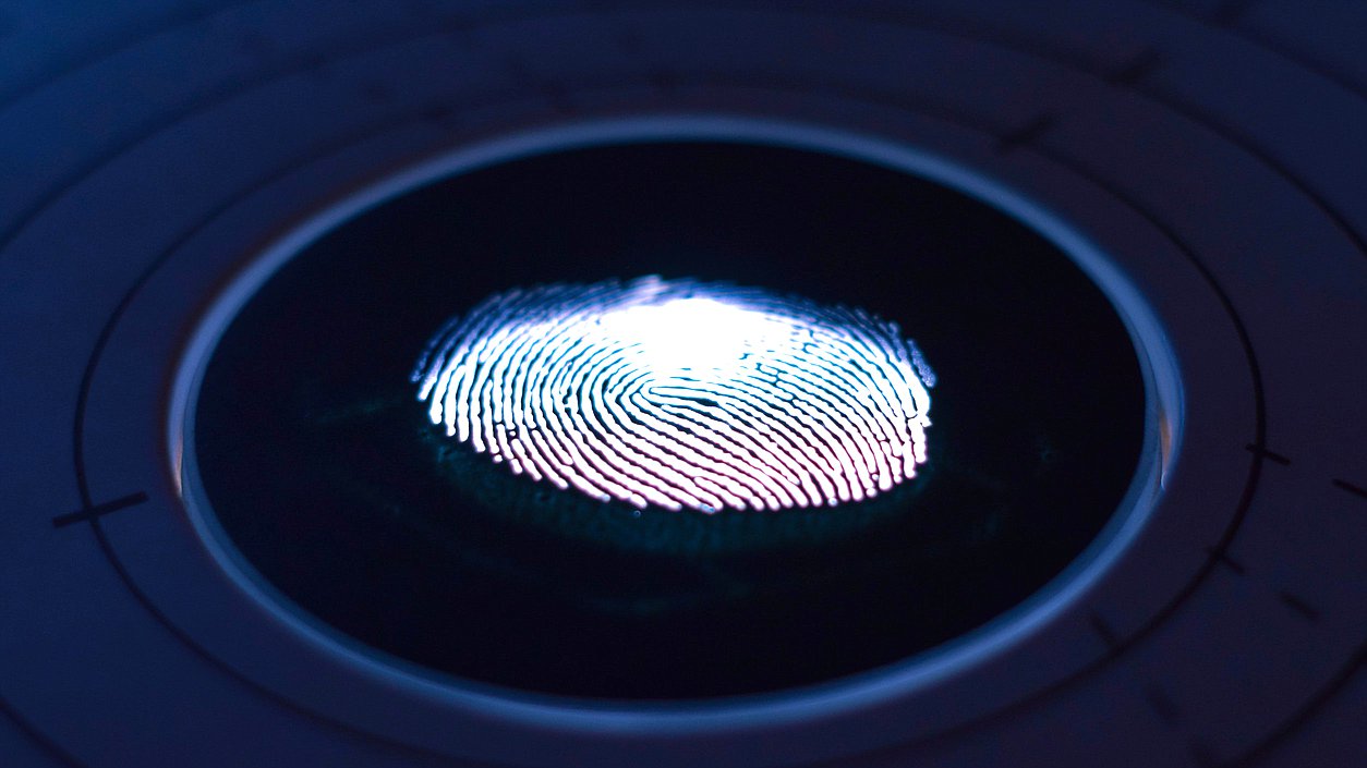 дактилоскопия отпечатки пальцев