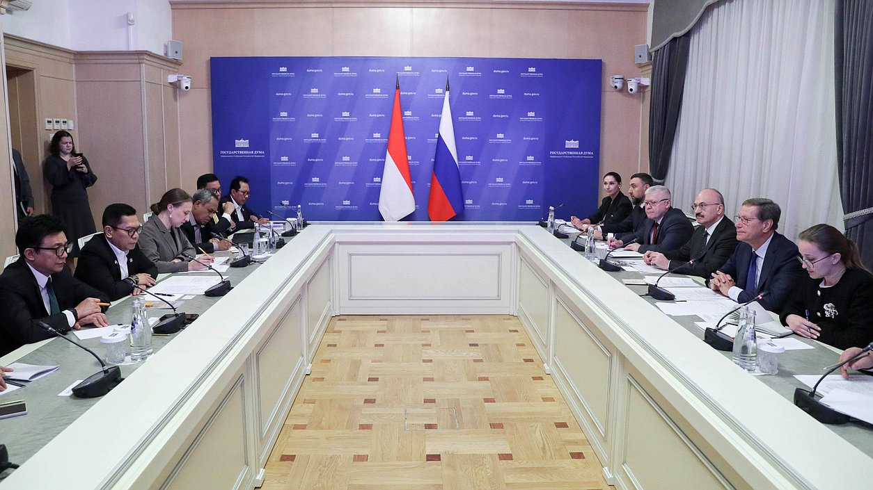 Meeting of First Deputy Chairman of the State Duma Alexander Zhukov and Deputy Chairman of the Commission on Law, Human Rights and Security of the House of Representatives of the Republic of Indonesia Adies Kadir