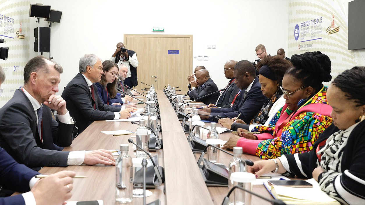 Meeting of Chairman of the State Duma Vyacheslav Volodin and Deputy President of the Republic of South Africa Paul Mashatile