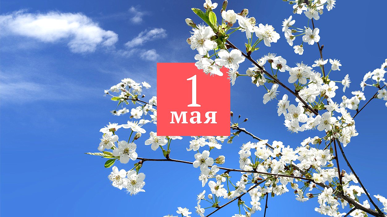 1 мая