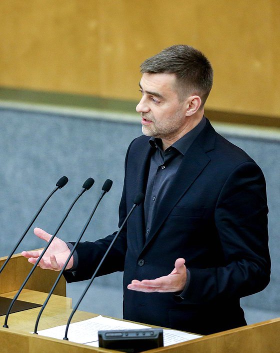 Член Комитета по международным делам Сергей Железняк
