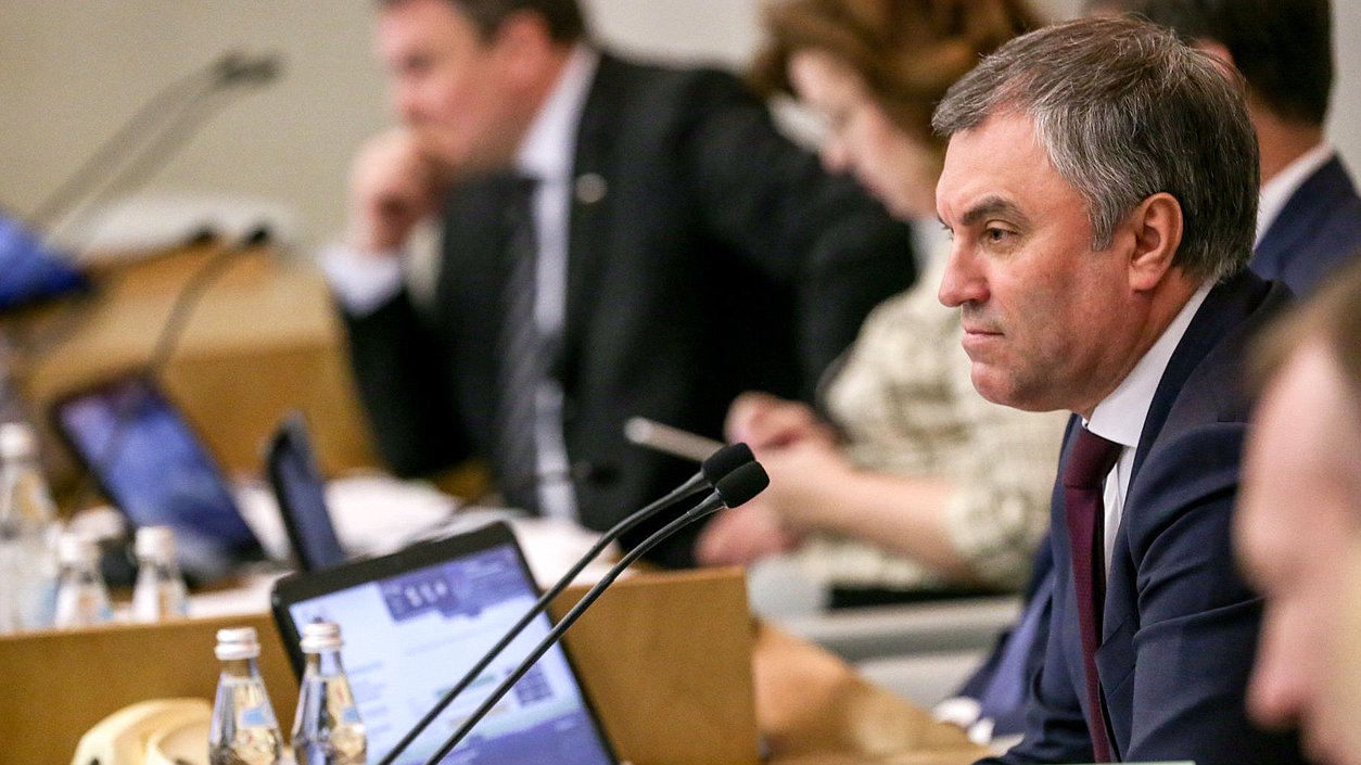 Председатель Государственной Думы Вячеслав Володин