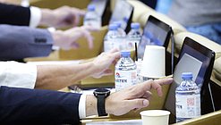 plenary session voting