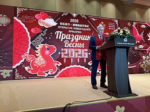 Первый заместитель Председателя ГД Иван Мельников