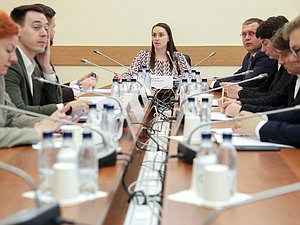 Круглый стол Комитета по молодежной политике на тему «Поддержка детских и молодежных общественных объединений». Заместитель Председателя Комитета по молодежной политике Юлия Саранова