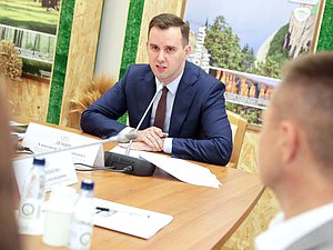 Председатель Комитета по малому и среднему предпринимательству Александр Демин