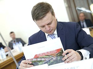 Председатель Комитета по федеративному устройству и вопросам местного самоуправления Алексей Диденко