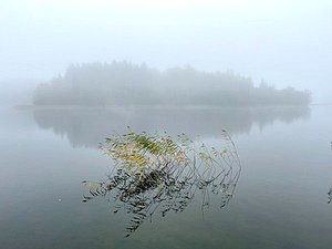 осень Россия река природа