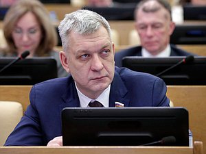 Член Комитета по промышленности и торговле Владимир Иванов