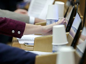 plenary meeting voting